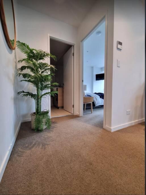 Broadbeach Stunner Modern And Central ゴールドコースト エクステリア 写真